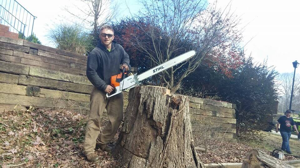 Stump Grinding